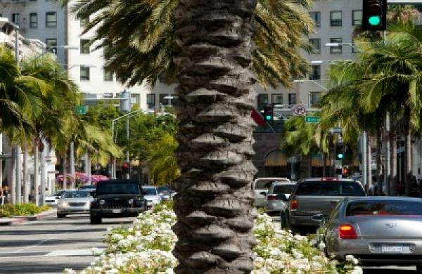 13-11-imogen-rose-smith-private-wealth-advisers-rodeo-drive-los-angeles-large.jpg