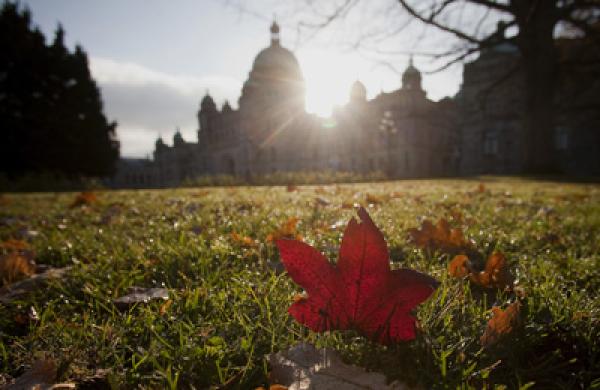 British Columbia's Capital City As Provincial Comeback Foreseen By BMO