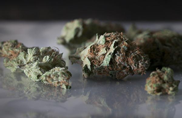 Pot Prices Double as Colorado Retailers Roll Out Green Carpet