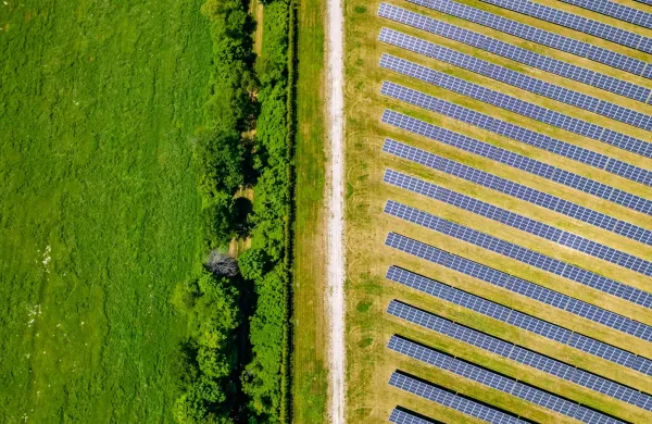 Carbon Reduction