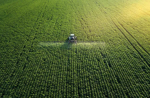 An Uncertain Crop Season