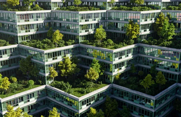 Roof garden