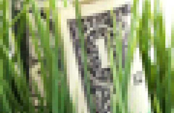 60x60-green-investing.jpg
