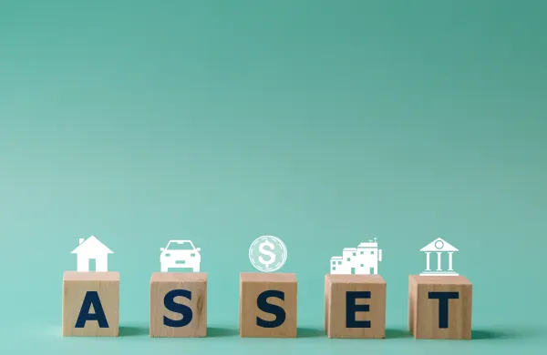 Assets