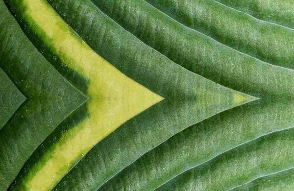How Endowments and Foundations Can Align Investment Portfolios with Their Missions