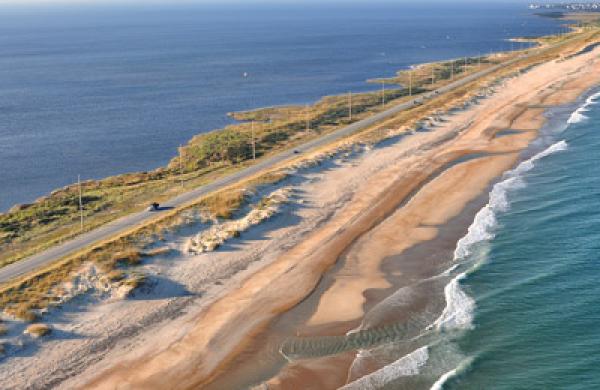 am-beach-large.jpg