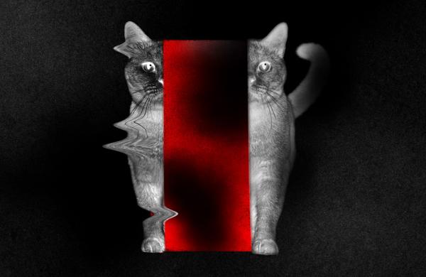 (Illustration by RIA Intel)