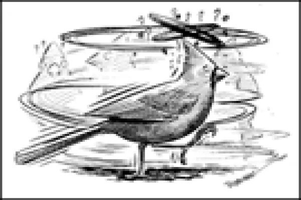 cardinal-sm.gif