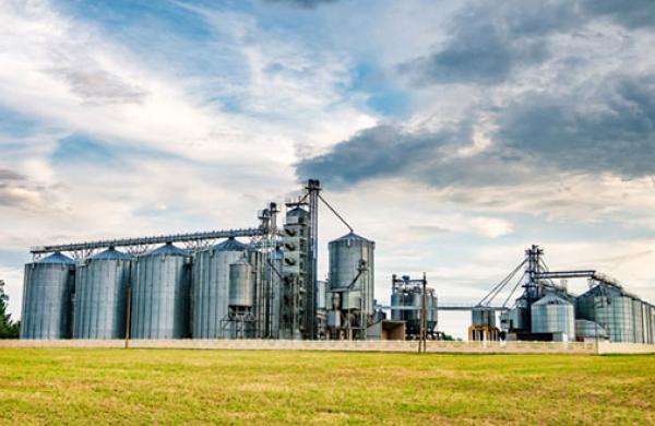 Agricultural Volatility