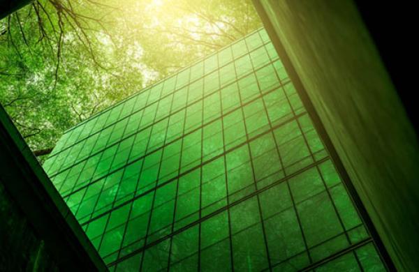 Green Trends