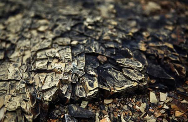 Iron Ore
