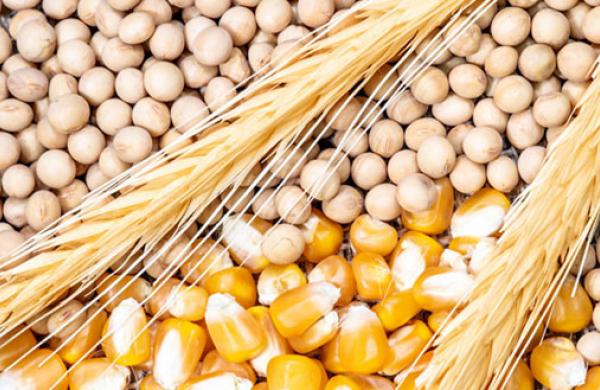 Farmers’ Risk Management Needs Increasing