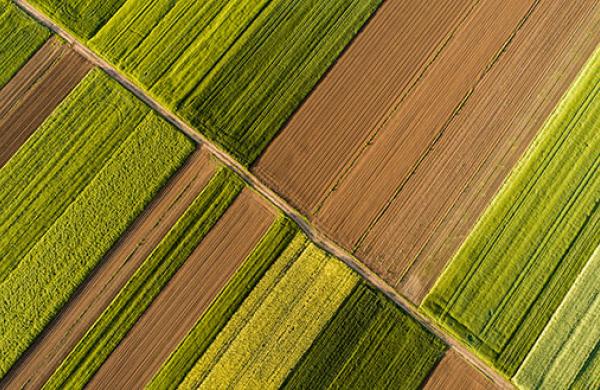 cover-nuveen-farmland.jpg