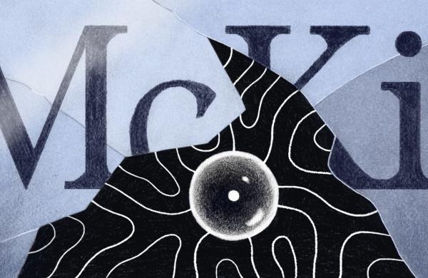 Illustrations by Laura Lannes