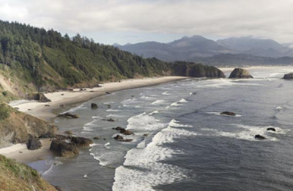 oregon-large.jpg