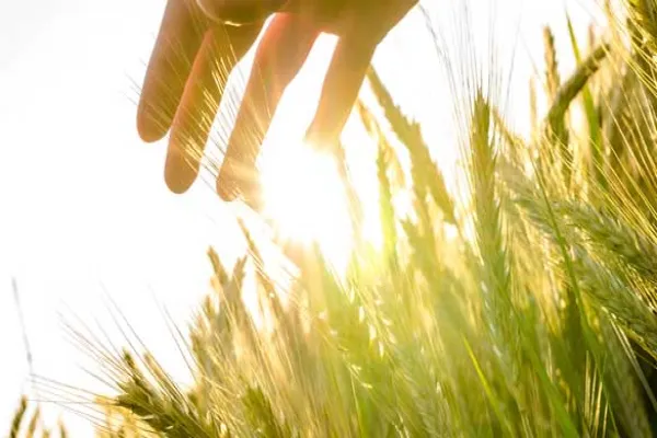 PIMCO When More is Less