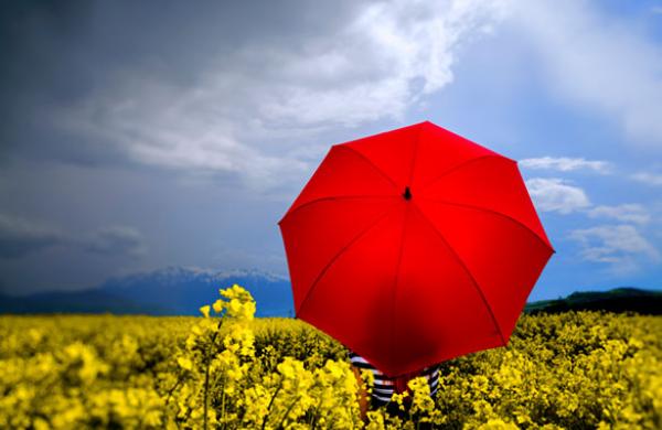 Waterproofing Pension Plans
