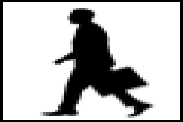 walker.gif
