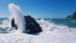 Turbulent Markets Call for More than an Index