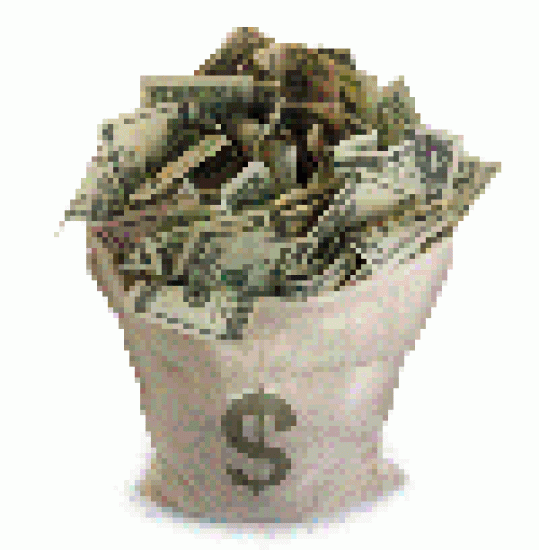 100x102money.gif