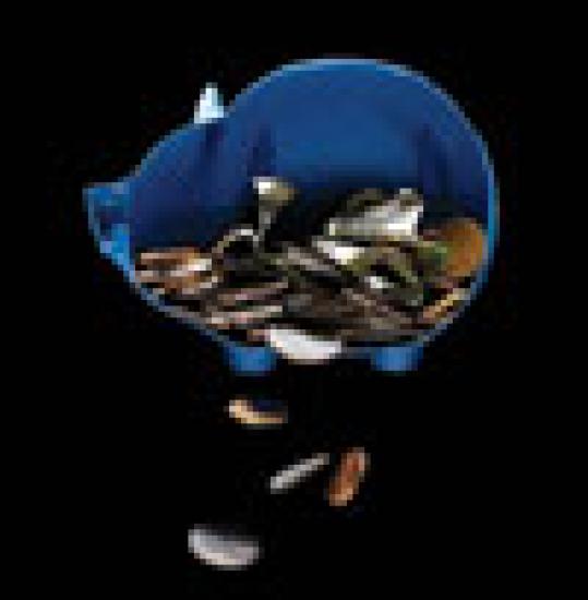 100x102pig-01.jpg