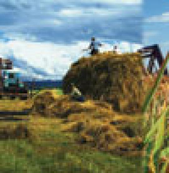 100x102russian-farming-opener.jpg