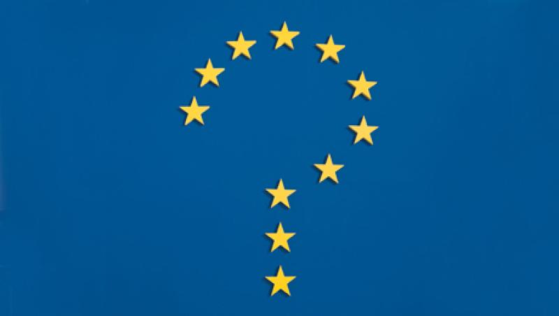 12-in-fea-euro-large.jpg