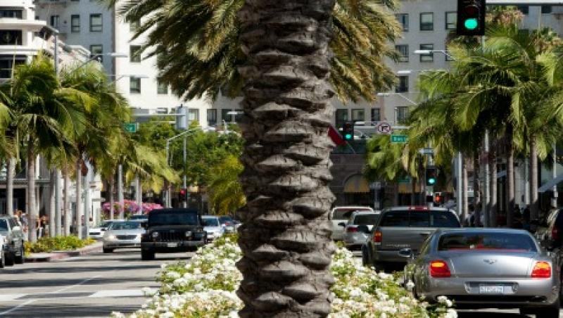 13-11-imogen-rose-smith-private-wealth-advisers-rodeo-drive-los-angeles-large.jpg