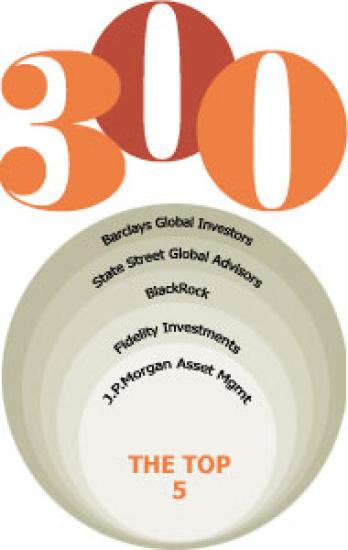 190x300-ii300.jpg