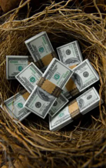 190x300retirement-nest.jpg