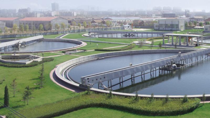 2013-11-green-shoots-jinan-wwt-project-large.jpg