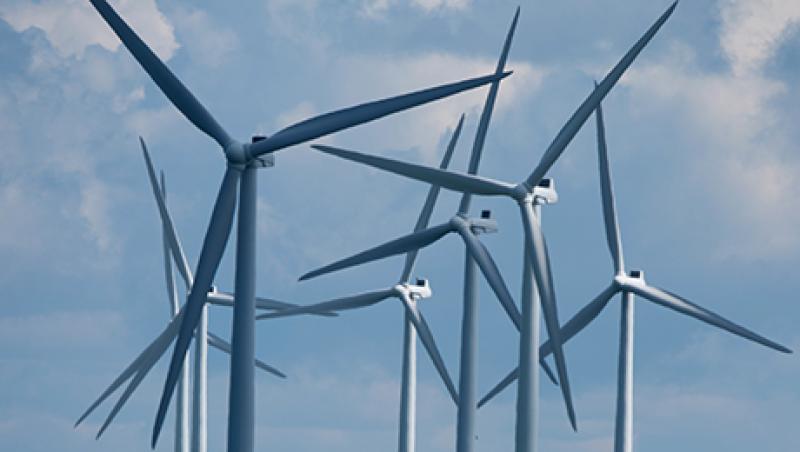2014-03-katie-gilbert-green-shoots-clean-energy-infrastructure-large.jpg