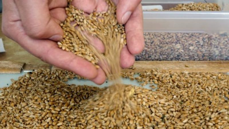 2014-05-gmtl-pimco-ukraine-grain-large.jpg