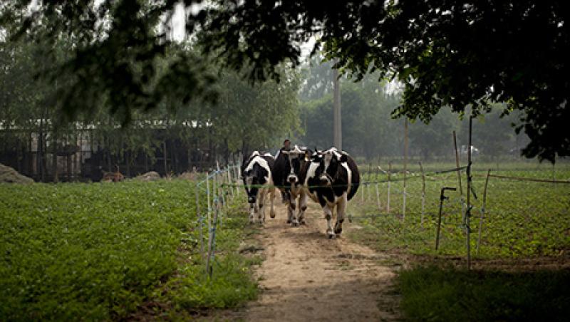 General Images Of Farming General Images Of Farming