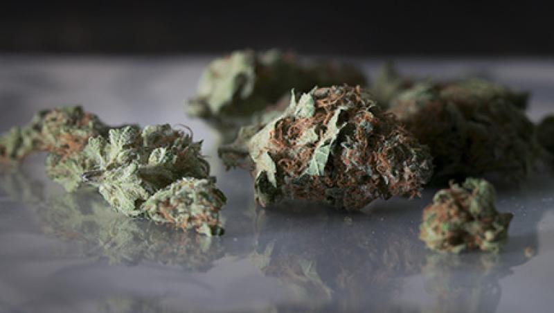 Pot Prices Double as Colorado Retailers Roll Out Green Carpet Pot Prices Double as Colorado Retailers Roll Out Green Carpet