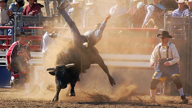 2014-10-vitaliy-katseneleson-bull-riding-lg.jpg