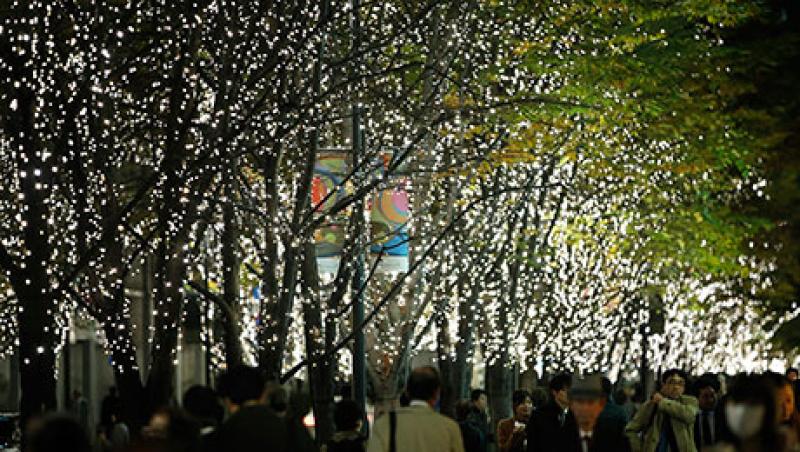 2014-12-weekend-reading-lights-large.jpg