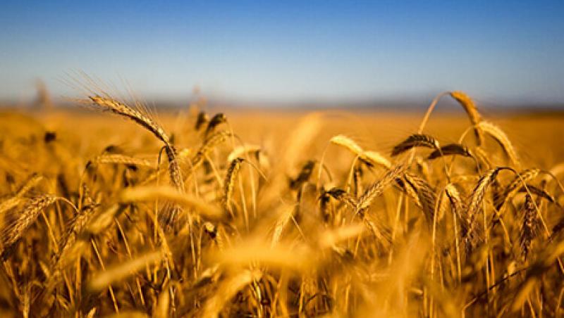 2015-01-imogen-rose-smith-farmland-impact-investing-lg.jpg