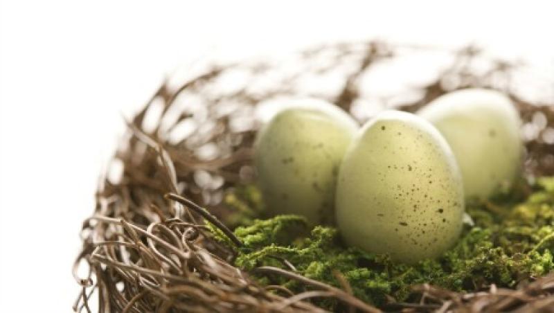 2015-01-uw-dalessio-retirement-nest-egg-large.jpg