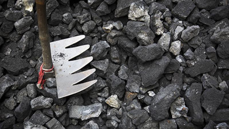 Images From A Coal Wholesaler As Modi Seeks To End 40 Year Government Monopoly On Mining And Selling Coal Images From A Coal Wholesaler As Modi Seeks To End 40 Year Government Monopoly On Mining And Selling Coal