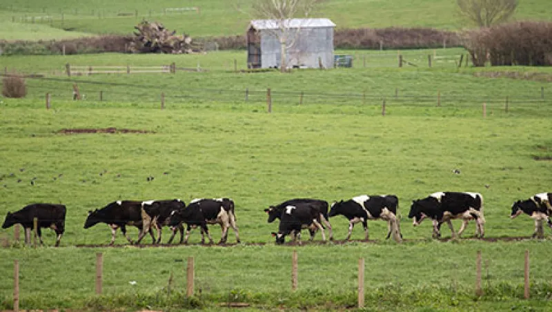 2015-02-20-ashby-monk-weekend-reading-nz-large.jpg