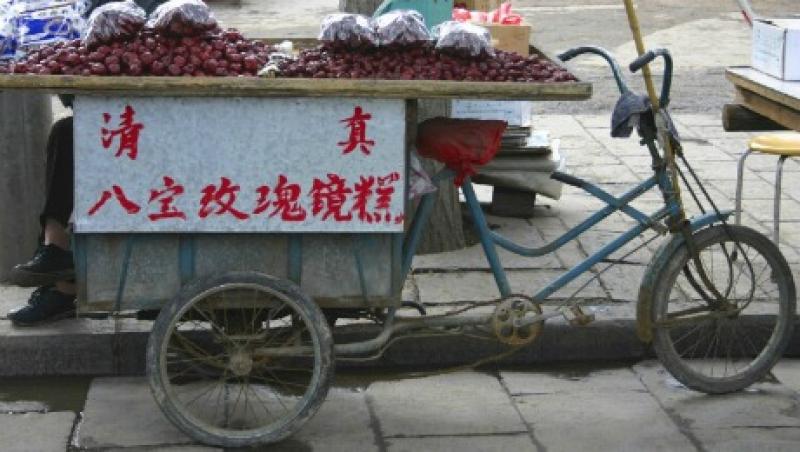2015-04-gmtl-investec-china-plums-xian-shaanxi-large.jpg