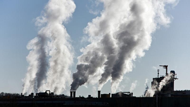 2015-04-katie-gilbert-fossil-fuel-alternatives-lg.jpg