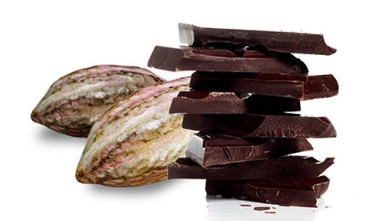 2015-04-matt-mossman-cocoa-large.jpg