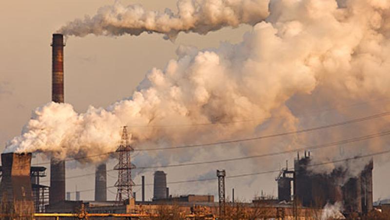 2015-06-ashby-monk-giant-reading-coal-large.jpg