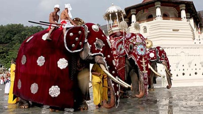 2015-08-da-kandy-esala-perahera-large.jpg