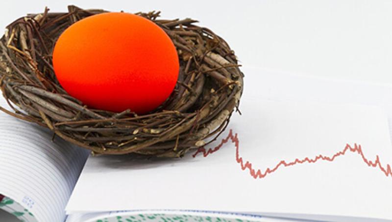 2015-08-gmtl-nt-pension-muni-bonds-nest-egg-large.jpg