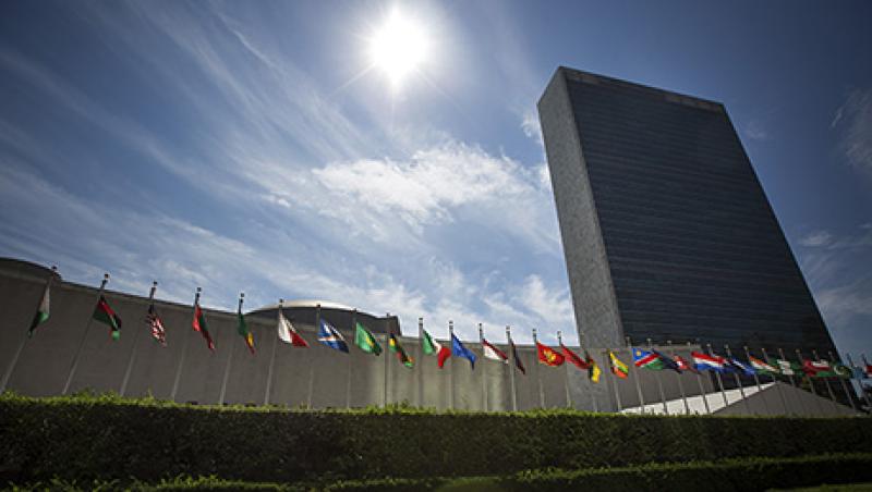 2015-09-vita-bekker-united-nations-sdgs-lg.jpg 2015-09-vita-bekker-united-nations-sdgs-lg.jpg