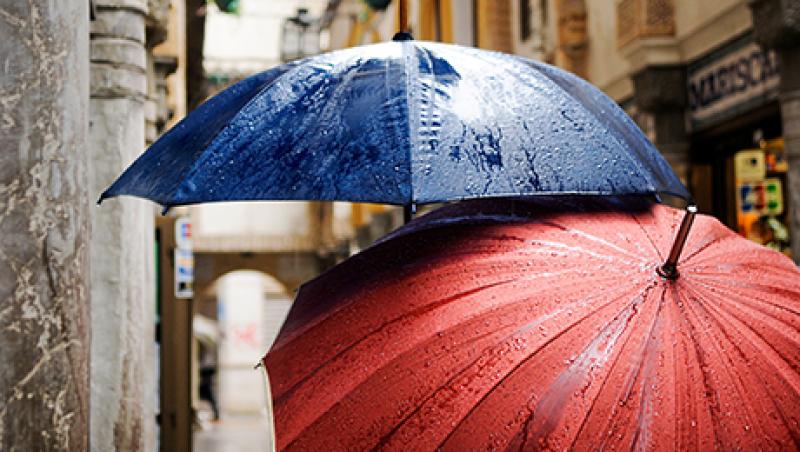 2015-10-ashby-monk-weekend-reading-umbrellas-large.jpg