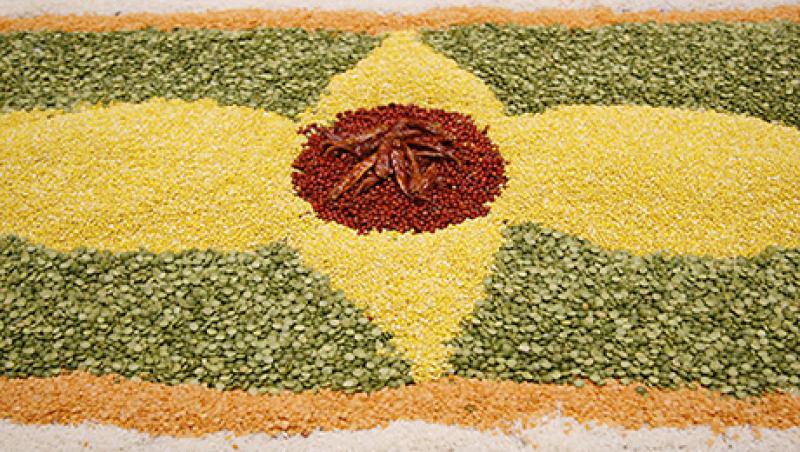 ECOSOC World Food Day Observance on the theme "Achieving food security in times of crisis."
ECOSOC World Food Day Observance on the theme "Achieving food security in times of crisis."